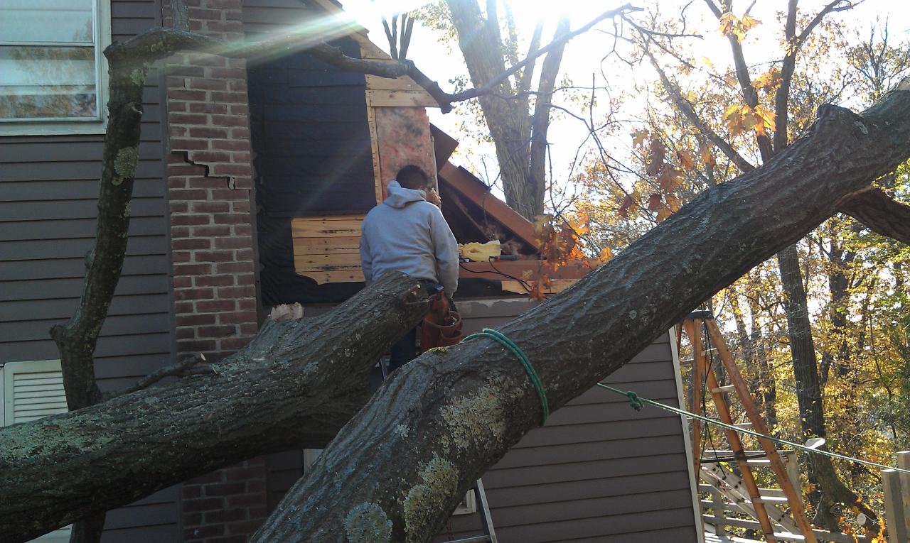 A man is sitting on top of a tree